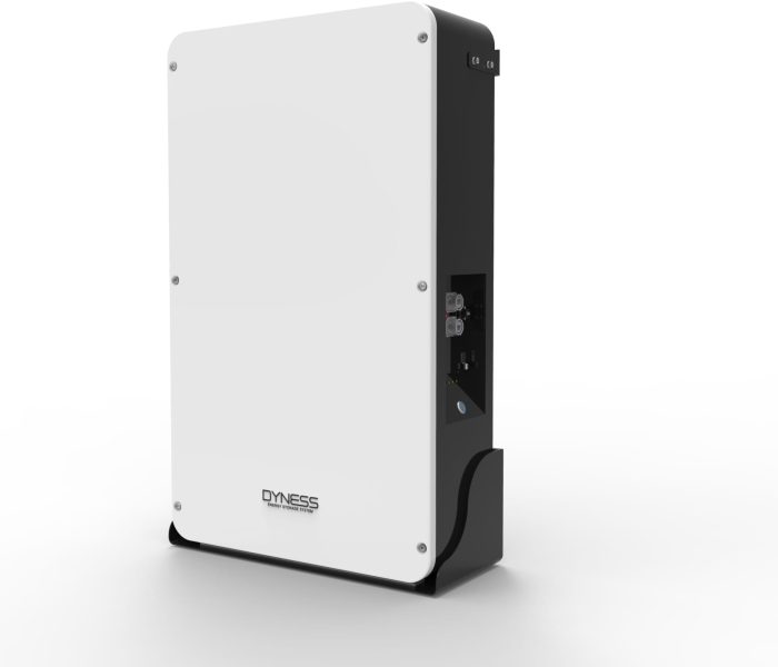 Dyness Solar battery